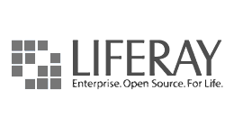 Liferay poratl : l'égrégateur de contenus